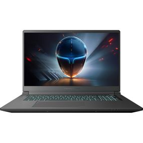 Ноутбук Thunderobot 911 X17 (911X17-i7136H56C1Q165MBD)