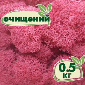 Очищений стабілізований мох ягель Цикламен 0,5 кг