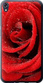 Чехол на Asus ZENFONE Live ZB501KL Красная роза "529u-1128-17620"