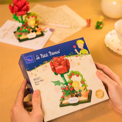 Конструктор Pantasy Le Petit Prince -Звездный путь-Pоза (86317) | Зображення 1