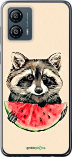 Чохол на Motorola Moto G53 Єнотик з кавуном "4605u-3047-2448"