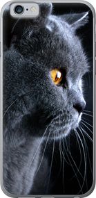 Чехол на iPhone 6s Красивый кот "3038u-90-17620"