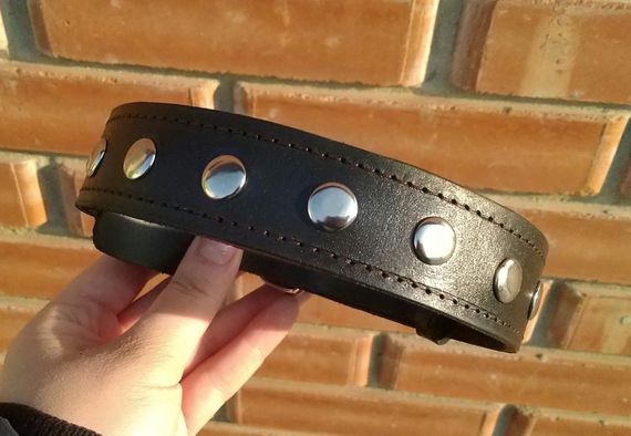 Кожаный ошейник "Lockdog" с заклепками черный | Зображення 3