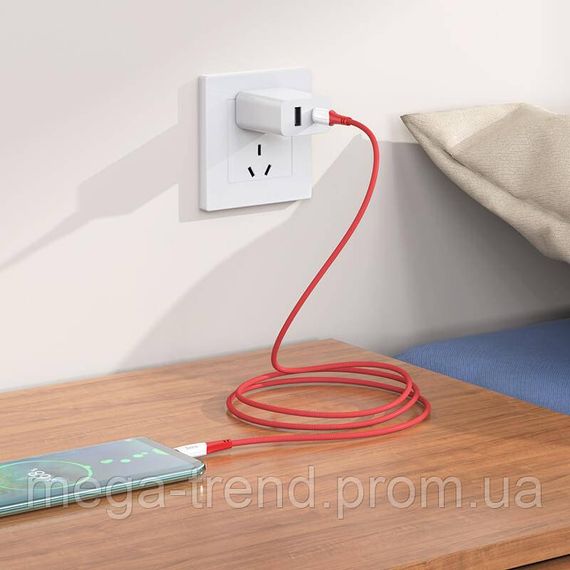 Кабель Hoco Type-C to Type-C Ferry charging data cable X70 |1m, 60W, 3A| | Зображення 6