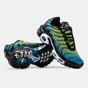 Чоловічі кросівки Air Max TN Plus весна / літо / осінь 1335