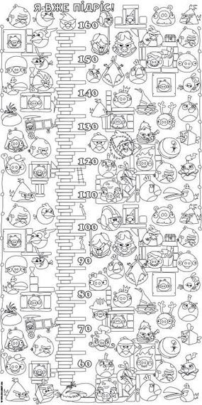 Шпалери-розмальовки Ростомір Angry Birds 60*120 C-120008