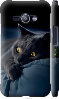 Чохол на Samsung Galaxy J1 Ace J110H Димчастий кіт "825m-215-2448"