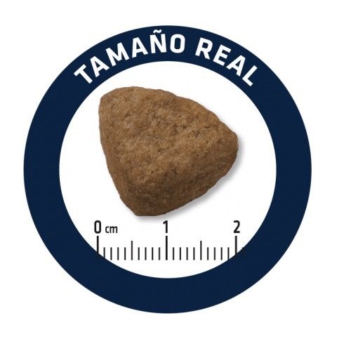 Сухий корм з куркою для собак великих порід Advance Maxi Adult, 14 кг | Зображення 4