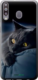 Чохол на Samsung Galaxy M30 Димчастий кіт "825t-1682-2448"