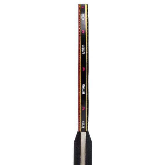 Набір для настільного тенісу Butterfly Racket Set Easy 2 Bats 3 Balls, 2 ракетки, 3 м'ячі, сумка | Зображення 3