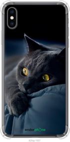 Чохол на iPhone XS Max Димчастий кіт "825sp-1557-2448"