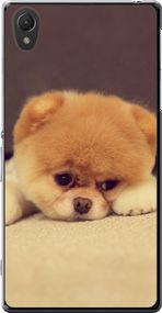 Чехол на Sony Xperia Z2 D6502/D6503 Boo 2 "890u-43-17620"