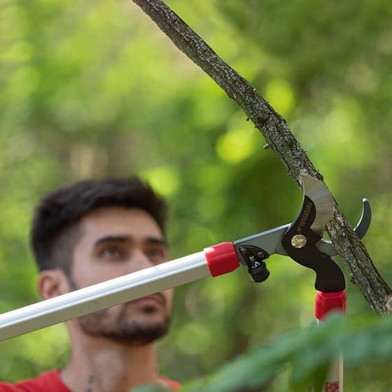 Гілкоріз садовий INTERTOOL FT-1111 | Зображення 8