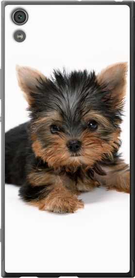 Чехол на Sony Xperia XA1 Ultra G3212 Щенок йоркширского терьера "931u-1237-17620"