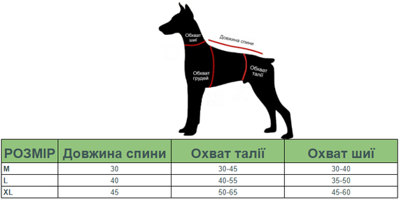Трусы - боди гигиенические для собак синие с принтом динозавр S | Зображення 3