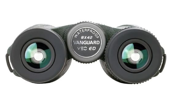 Бінокль Vanguard VEO ED 8x42 WP (VEO ED 8420) (DAS301025) | Зображення 2