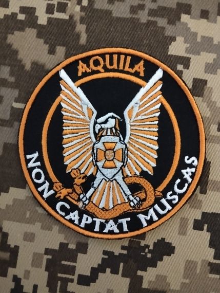 Шеврон Aquila Non Captat Muskas