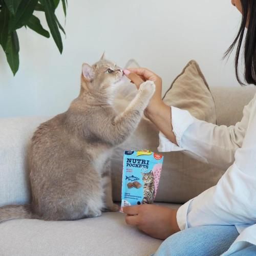 Ласощі для кішок GimCat Nutri Pockets Fish Лосось 60 г | Зображення 2