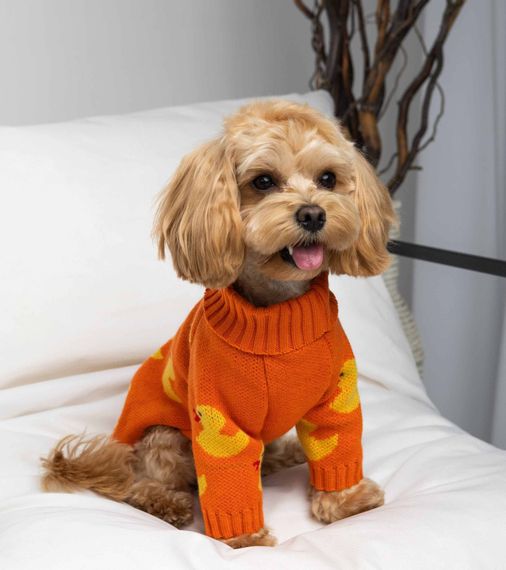 Светр в'язаний Каченята помаранч Y-345 | Зображення 1