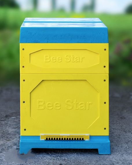 Вулик ППУ “BeeStar” (1 корпус Дадан 300 мм + 1 магазин на 10 рамок) – кольоровий | Зображення 1