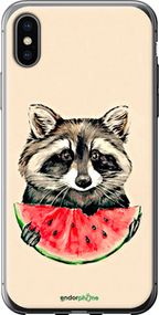 Чохол на iPhone X Єнотик з кавуном "4605t-1050-2448"