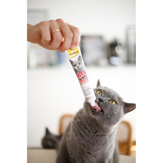 Паста GimCat DUO PASTE Anti-hairboll malt with chicken для котів з чутливим травленням усіх порід мальт та курка 50г | Зображення 4