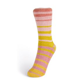Бавовняна шкарпеткова пряжа Laines du Nord Summer Sock, 102