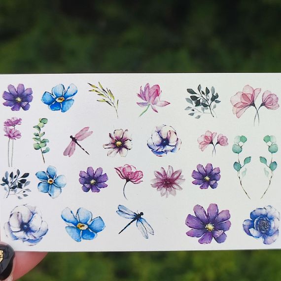 Слайдер B-05 на водяній основі (5x8см)