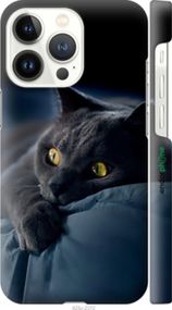 Чохол на iPhone 13 Pro Димчастий кіт "825m-2372-2448"