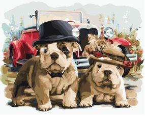 Пан та пані собаки