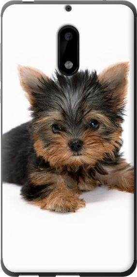 Чехол на Nokia 6 Щенок йоркширского терьера "931u-898-17620"