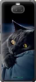 Чохол на Sony Xperia 10 I4113 Димчастий кіт "825t-1688-2448"