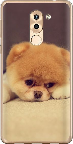 Чехол на Huawei Mate 9 Lite Boo 2 "890u-474-17620"