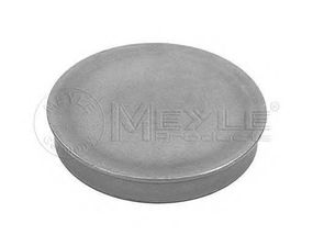 Кришка маточини AUDI A4, SEAT ALTEA XL, VW GOLF IV-VII, SEAT IBIZA II 93- зад. міст (Вир-во MEYLE) MEYLE 1007520006 на SEAT IBIZA Mk II (6K1)