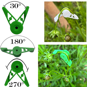 Фіксатор вигину рослин Колір зелений