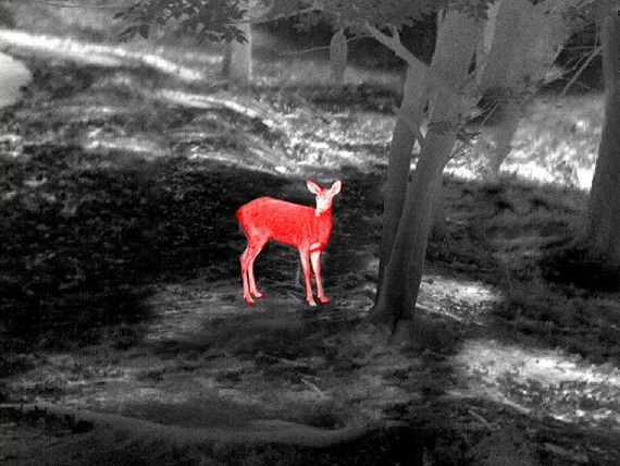 Приціл тепловізійний Guide TU450 3,2-12,8x50 400x300@17μm VOx 1400м | Зображення 5