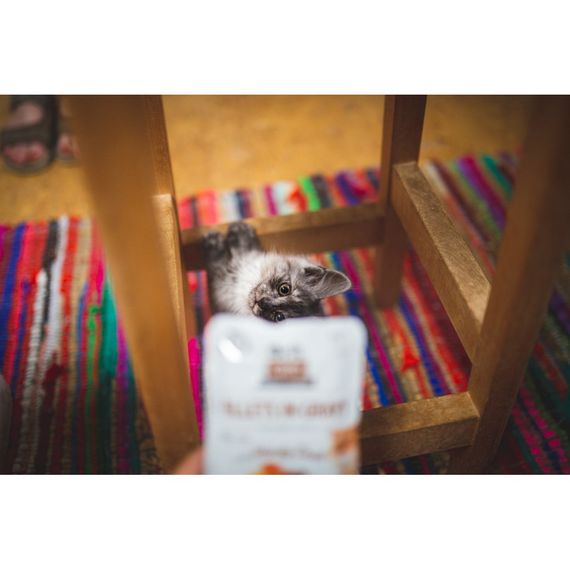 Корм вологий Brit Care Fillets in Gravy Hearty Duck д/котів філе в соусі з качкою 85 г | Зображення 3