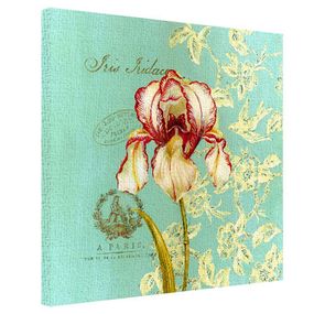 Картина на полотні Iris Iridaceae 50x50 см (H5050_RET012)