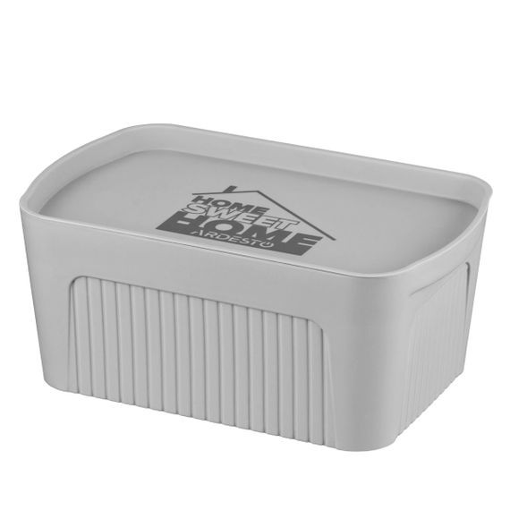 Ящик с крышкой для хранения Ardesto ARHC2506G 32х21.5х14 см серый