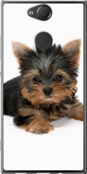 Чехол на Sony Xperia XA2 H4113 Щенок йоркширского терьера "931u-1357-17620"