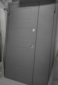 Двері вхідні Портала Street Art1 Metallic grey серія STREET полуторні Metallic grey