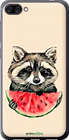 Чохол на Asus ZenFone 4 Max ZC520KL Єнотик з кавуном "4605u-1242-2448"