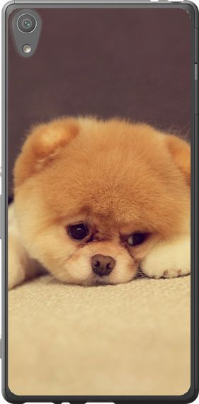 Чехол на Sony Xperia XA F3112 Boo 2 "890u-399-17620"