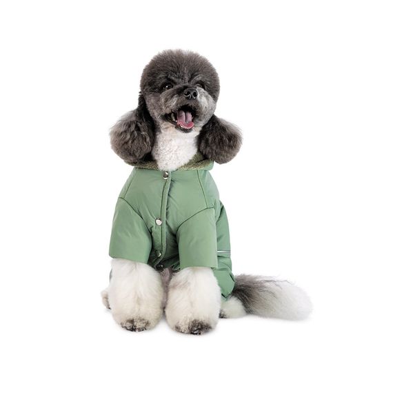 Костюм Richi S Pet Fashion для собак | Зображення 3