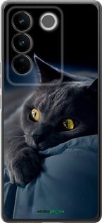 Чохол на Vivo S16 Pro Димчастий кіт "825u-3123-2448"