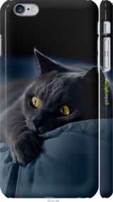 Чохол на iPhone 6s Plus Димчастий кіт "825m-91-2448"