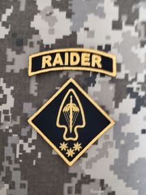 Шеврон Sword Michaels+Raider