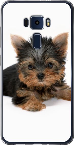 Чехол на Asus Zenfone 3 ZE552KL Щенок йоркширского терьера "931u-448-17620"