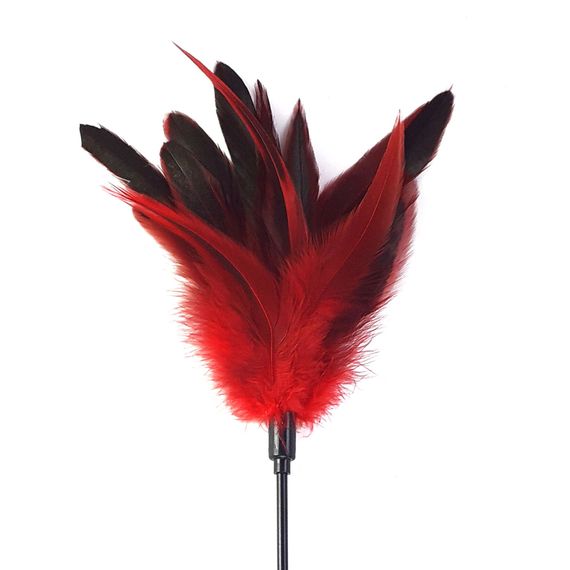 Лоскітка з пером півня Art of Sex – Feather Paddle, червона | Зображення 1