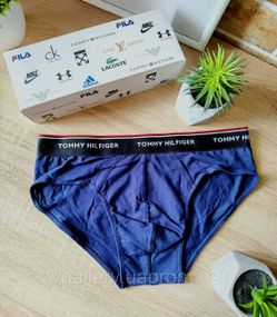 Чоловічі брифи, чоловічі труси сліпи (брифи) ТОМІ, труси чоловічі, бріфи чловічі ПРЕМІУМ - Сині М